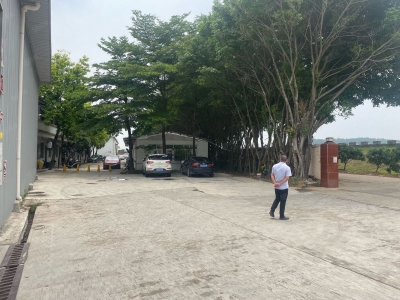 (出租) 花都狮岭镇金狮大道东单层仓库厂房，现低价转让出租图4