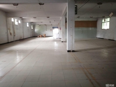 重庆大渡口万达广场对面建桥工业园A区厂房仓库出租图2