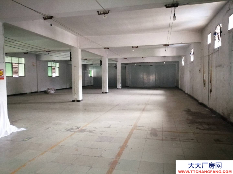 重庆大渡口万达广场对面建桥工业园A区厂房仓库出租