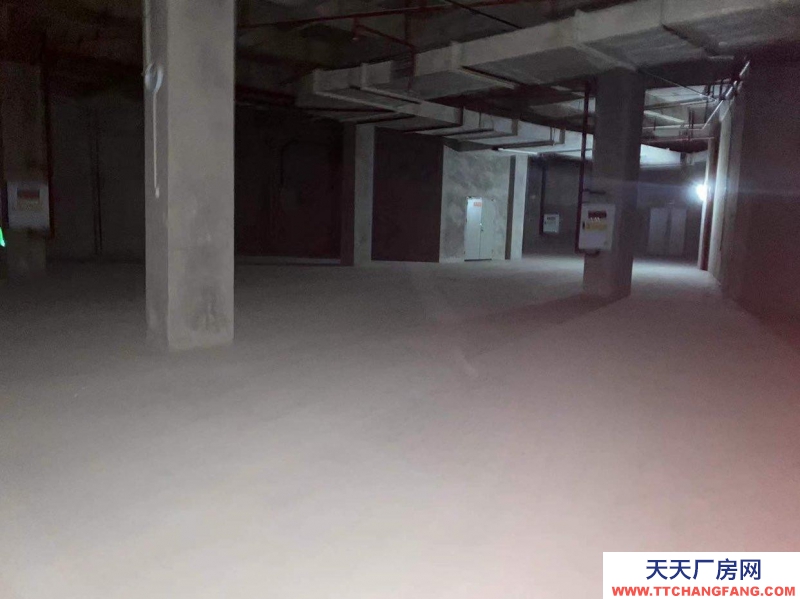 重庆大渡口区金家湾附近仓库，500到3000平可拆分，中介勿扰