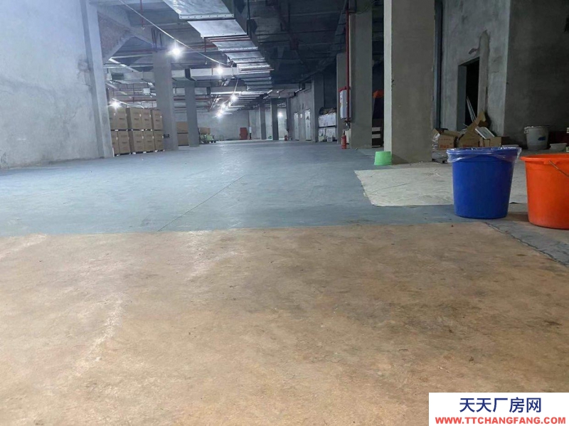 重庆大渡口区金家湾附近仓库，500到3000平可拆分，中介勿扰