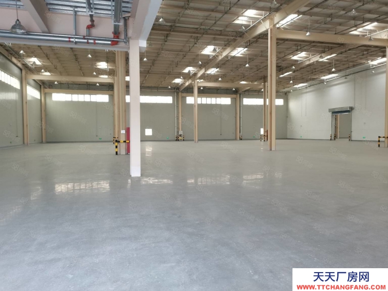 重庆江津珞璜标准仓库12000平出租（可分零）
