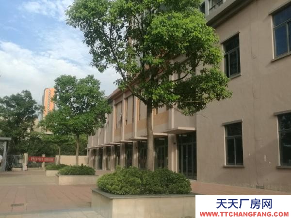 南京市浦口区汊河雅居乐林语城一楼门面房