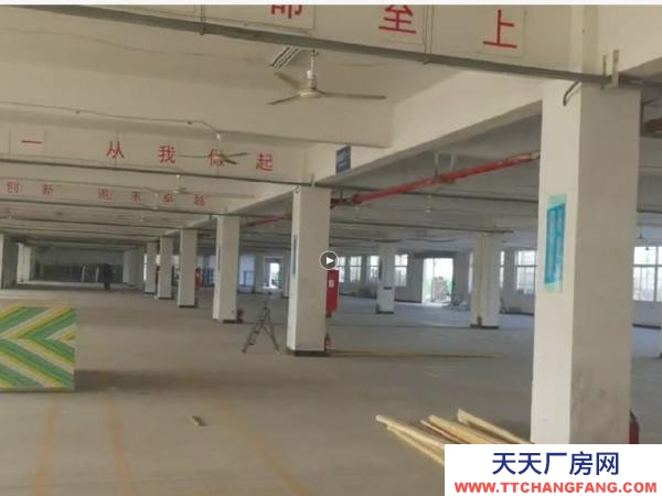 南京市浦口高新区700平标准化园区厂房仓库4.5米层高