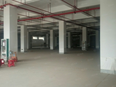 南宁市西乡塘区(出租) 安吉标准厂房180起可分割，证件齐全交通方便近高速图4