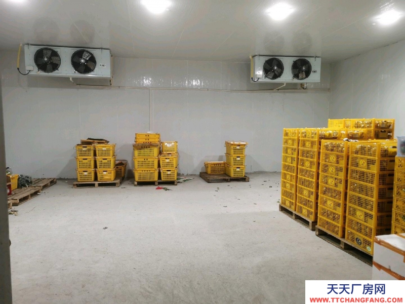 重庆江津场地面积共1000平方，其中包含冷库面积350平方！
