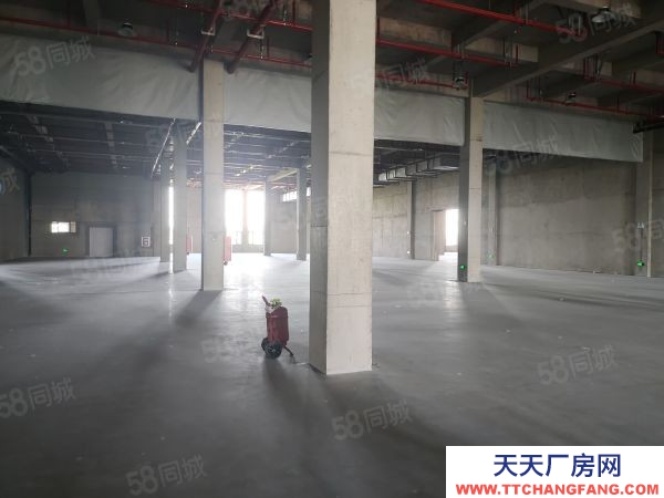 南京市栖霞龙潭独门独院全新厂房35000平可分组交通方便