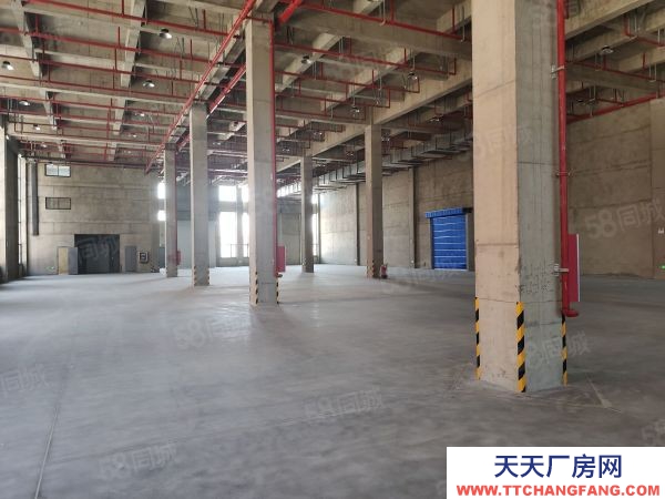南京市栖霞龙潭独门独院全新厂房35000平可分组交通方便