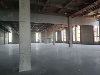 南京市栖霞龙潭独门独院全新厂房35000平可分组交通方便图8