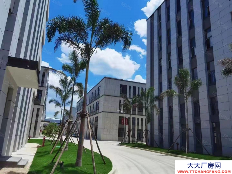 南宁市西乡塘区(出租) 安吉临街独栋厂房出租，可做无尘洁净车间，配套餐厅，交通便利