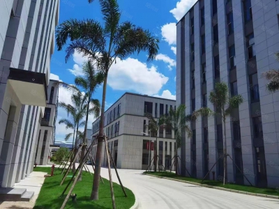 南宁市西乡塘区(出租) 安吉临街独栋厂房出租，可做无尘洁净车间，配套餐厅，交通便利图2