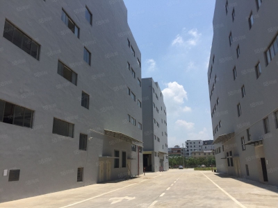 南宁市西乡塘区(出租) 650平标准厂房，安吉大道旁交通方便，靠近高速口周边物流园图2