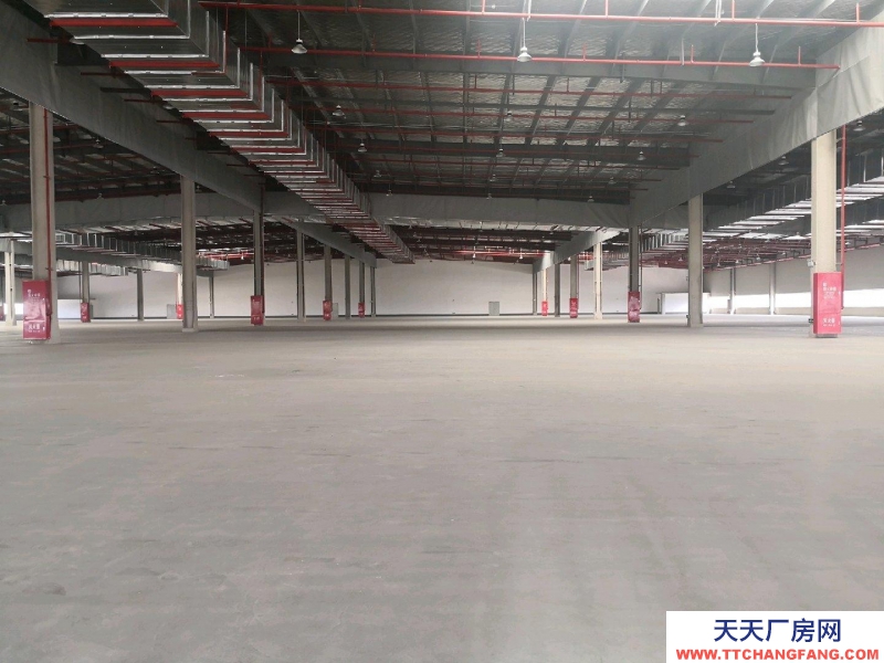 重庆涪陵全新产业园仓库厂房租赁