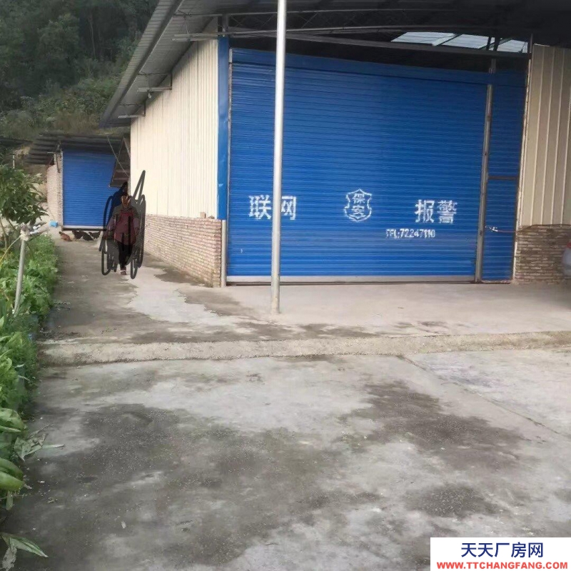 重庆涪陵仓库低价出租（仙鹅路）