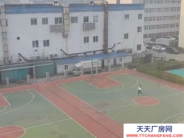 南京栖霞区熊猫新港工业园区四号厂房3.4楼招租