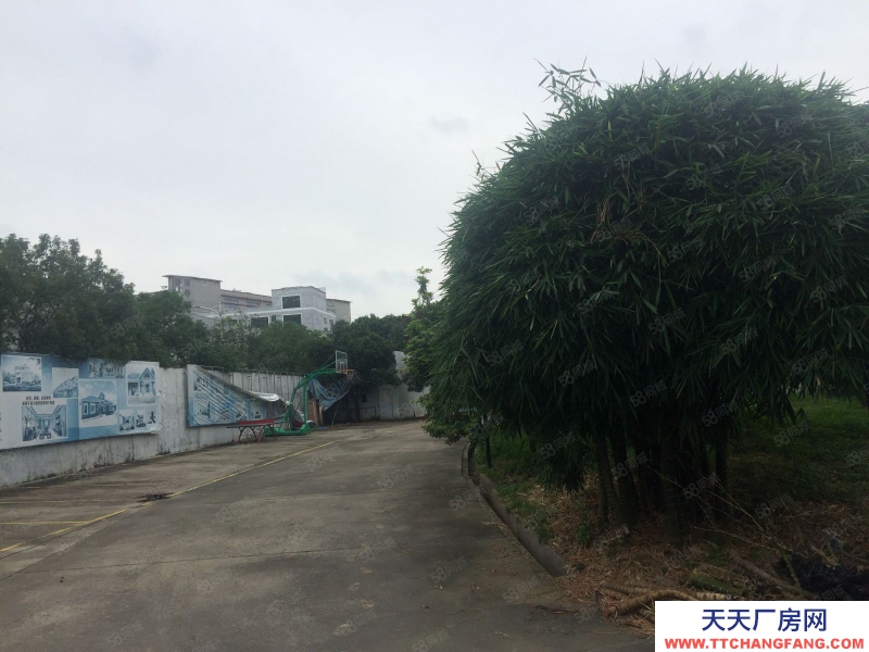 (出租) 花园式独门独院高标准单一层带高台仓库厂房低价出租