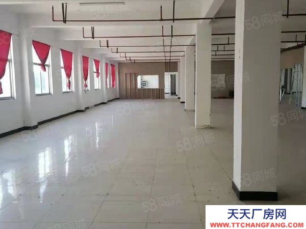 南京市栖霞恒竞路独栋厂房 两证齐全 层高4.5米 适合电子 电商