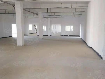 南京市栖霞恒竞路独栋厂房 两证齐全 层高4.5米 适合电子 电商图5