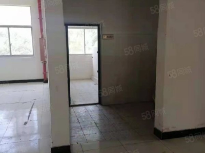 南京市栖霞恒竞路独栋厂房 两证齐全 层高4.5米 适合电子 电商图4