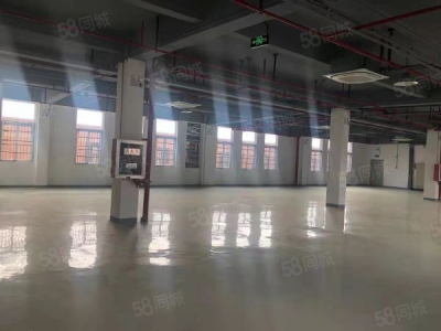 南京市 栖霞新港开发区独栋厂房工业用地两证齐全层高8米图2