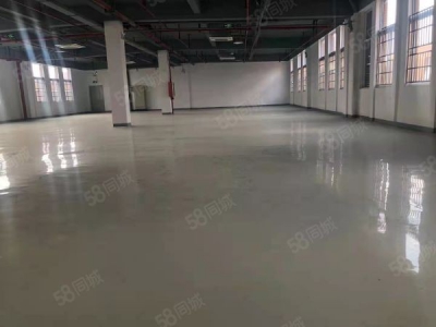 南京市 栖霞新港开发区独栋厂房工业用地两证齐全层高8米图6