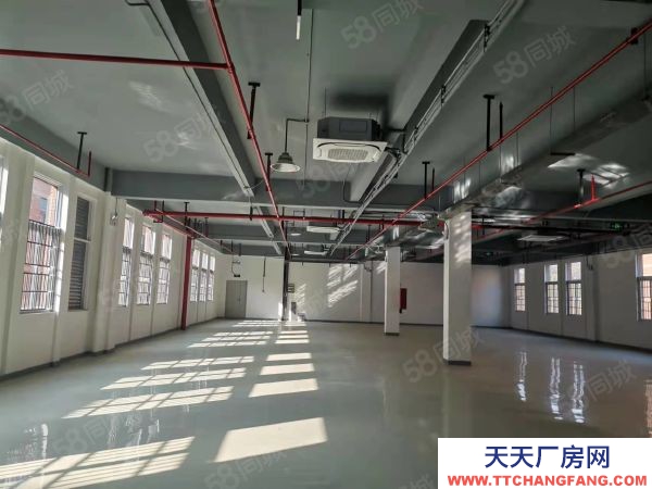 南京市栖霞区新港开发区 恒谊路1号厂房 一到三层 8米挑高 已隔两层