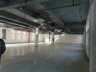 南京市栖霞区新港开发区 恒谊路1号厂房 一到三层 8米挑高 已隔两层图5