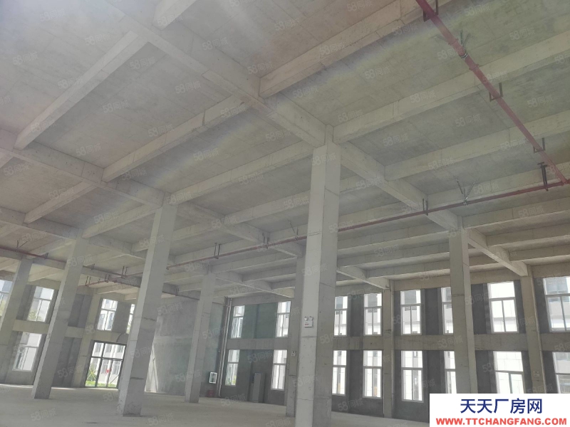 南宁市西乡塘区(出租) 北湖园艺场，新出厂房出租，标准厂房，1300平起