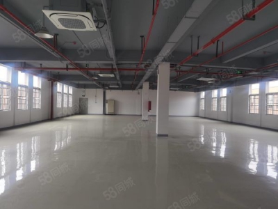 南京市栖霞区新港开发区独立厂房出售 精装修 中央空调图1