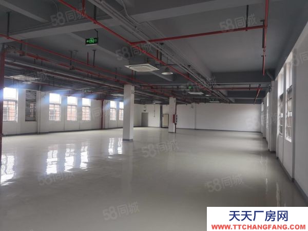 南京市栖霞区新港开发区独立厂房出售 精装修 中央空调