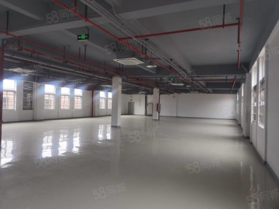 南京市栖霞区新港开发区独立厂房出售 精装修 中央空调图3
