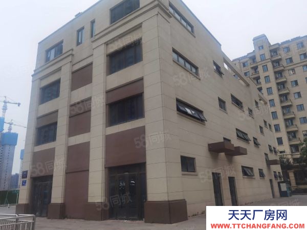 南京市栖霞区新港开发区独立厂房出售 精装修 中央空调