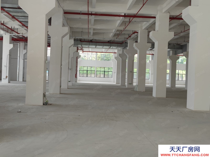 (出售) 1600元起售带红本厂房出售可按揭享受政府补贴政策