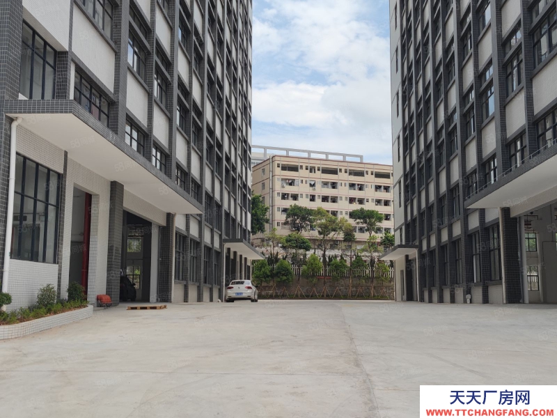 (出售) 1600元起售带红本厂房出售可按揭享受政府补贴政策