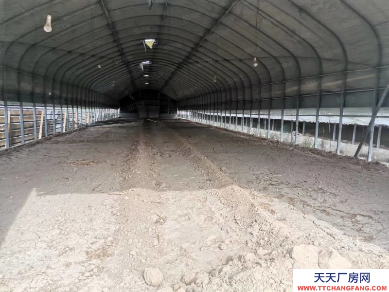 石家庄 栾城区 新赵线 南高乡 1000平 厂房出租