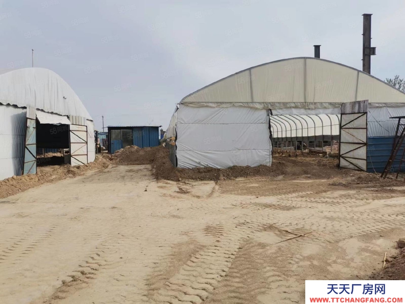 石家庄 栾城区 新赵线 南高乡 1000平 厂房出租