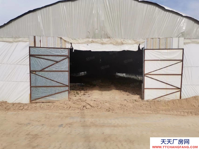 石家庄 栾城区 新赵线 南高乡 1000平 厂房出租