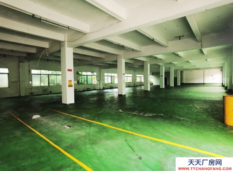 (出售) 出售 业主诚意出售!新塘国有红本厂房出售8000平方产权清晰
