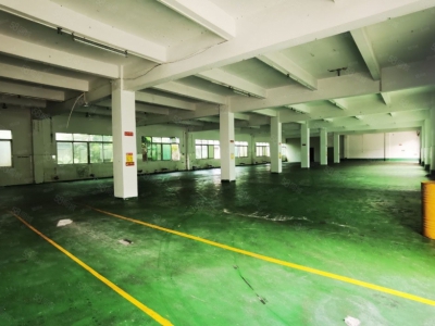 (出售) 出售 业主诚意出售!新塘国有红本厂房出售8000平方产权清晰图3