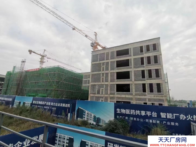 石家庄 栾城 买一层赠一层赠露台进来看看