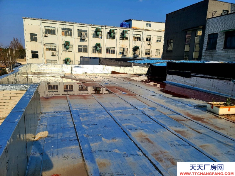 杭州西湖一到三楼整栋共3千方可做仓库电商直播办公轻工业也可以分租
