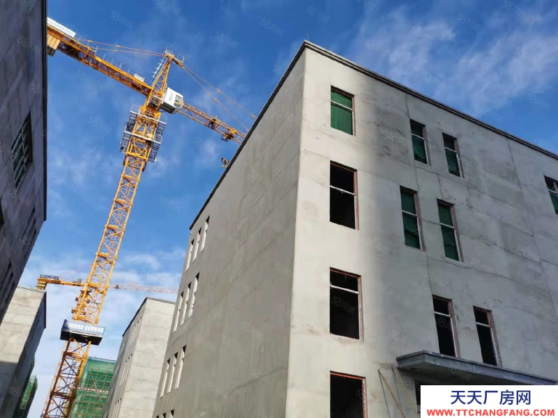 石家庄 栾城 南三环新晋品质研发生产厂房