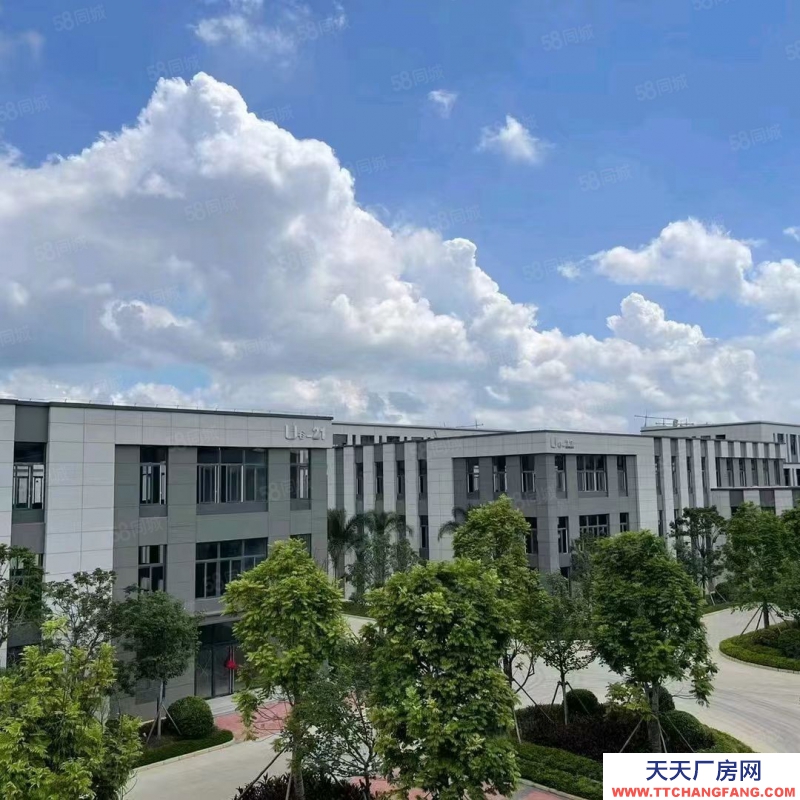 济南天桥单层框架厂房！500平！手续齐全可办证！