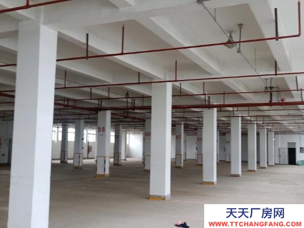 南京市栖霞区尧化门个人房源，1900平方米仓库出租，可分租。