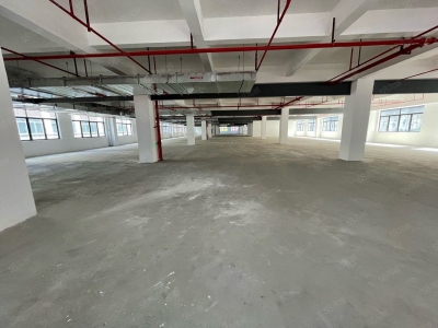 (出租) 黄埔区4S店，新能源场地5000平招租，证件齐全可钣喷图3