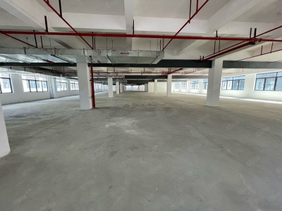 (出租) 黄埔区4S店，新能源场地5000平招租，证件齐全可钣喷图4