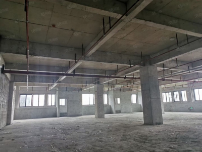 南宁市西乡塘区(出租) 标准厂房出租10一平起，还剩部分房源。图1