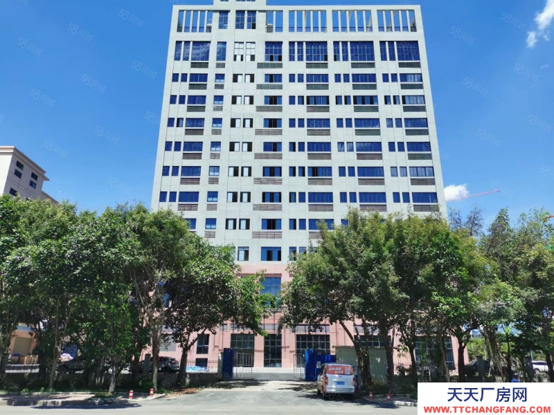 南宁市西乡塘区(出租) 标准厂房出租10一平起，还剩部分房源。