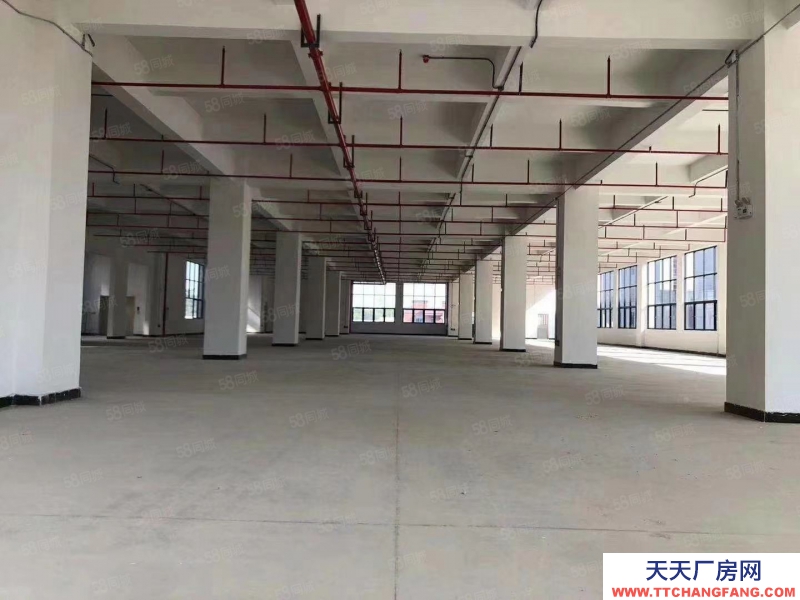 (出租) 无公摊原房东 黄埔区开创大道附近8000平独栋高薪园区出租