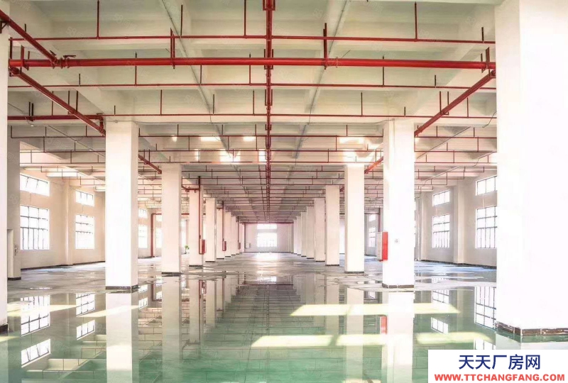 (出租) 无公摊原房东 黄埔区开创大道附近8000平独栋高薪园区出租